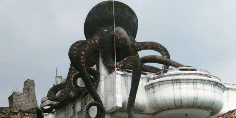 Instagram.com/talesofluna0